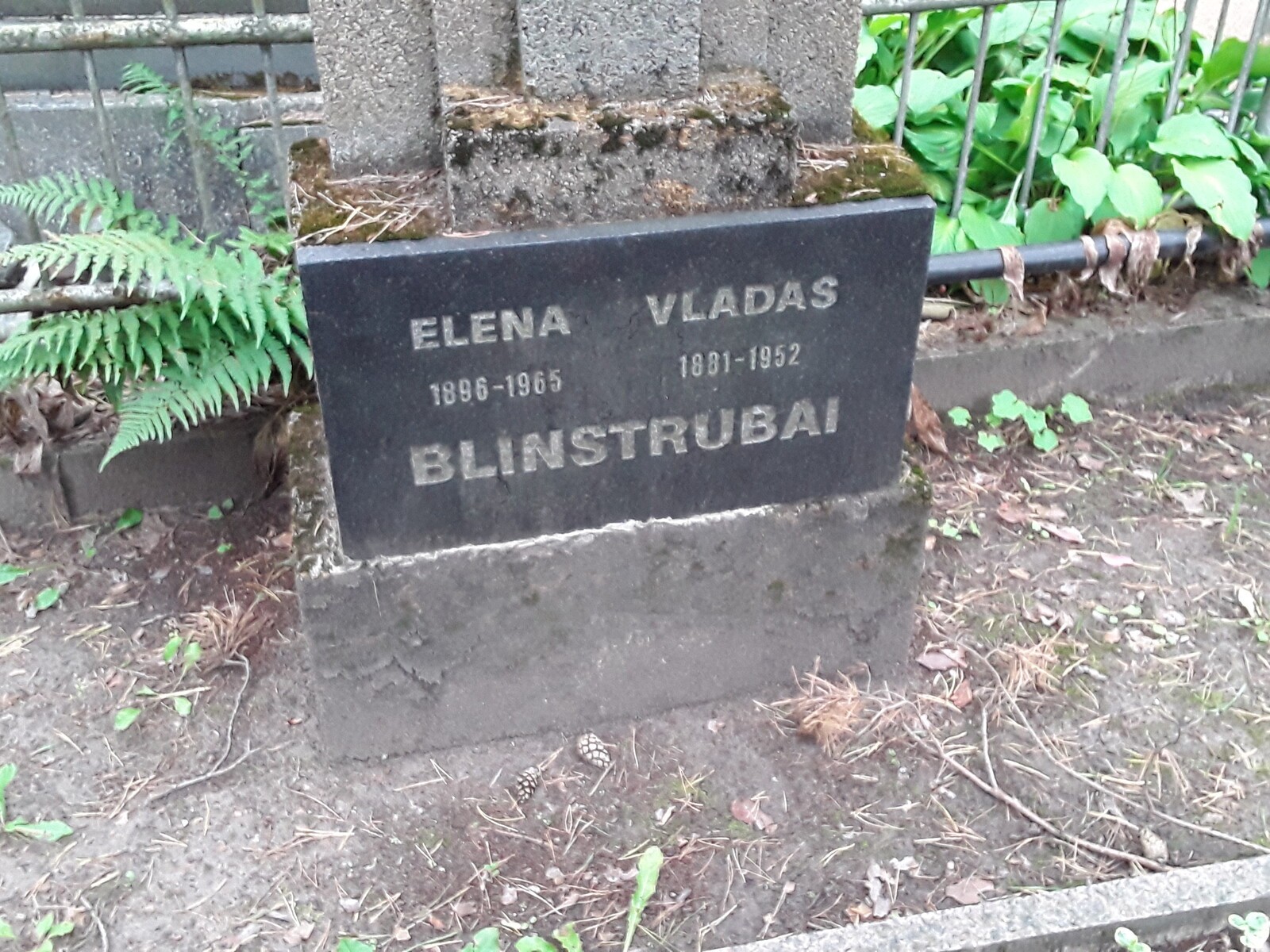ID757-Vladas-1881.02.16-1952-ir-Elena-Vysniauskaite-1896-1965-Blinstrubai-Kauno-Petrasiunu-kapines